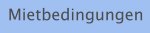 Mietbedingungen